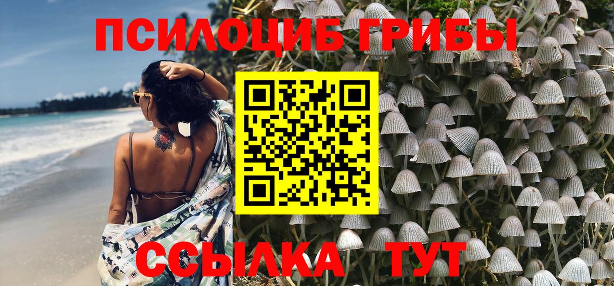 Галлюциногенные грибы MAGIC MUSHROOMS  Галлюциногенные грибы мицелий  Балашов  Вход с VPN 